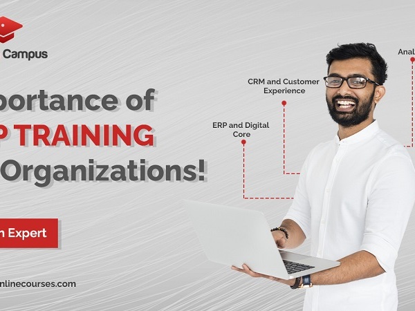 Importance Of SAP Training For Organizations